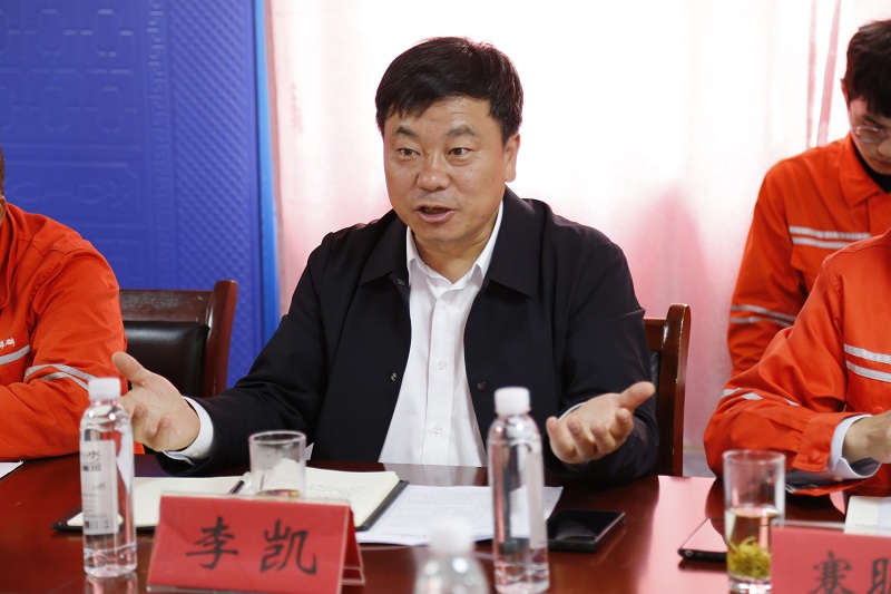 西能集團(tuán)黨委委員、副總經(jīng)理李凱.JPG